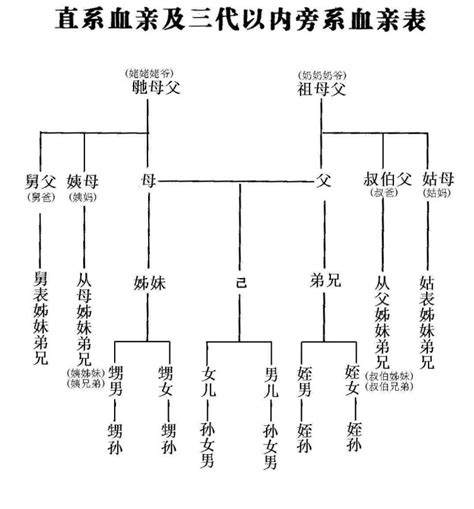 叔公的兒子|中国人亲戚关系图表